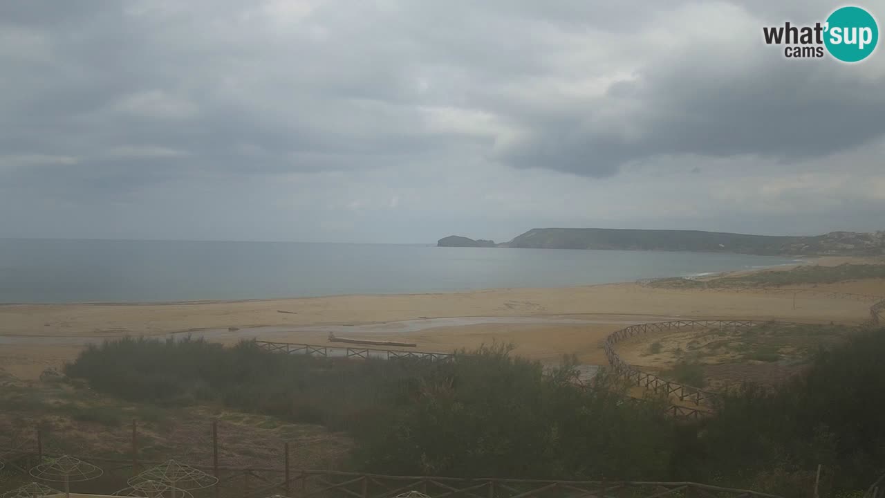 Webcam Torre dei Corsari – Live Beach View from Punta Usai