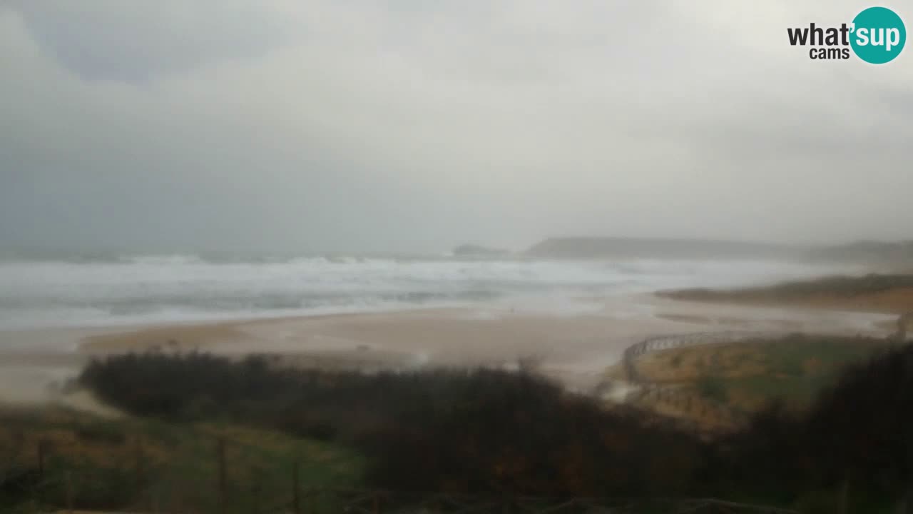 Web kamera Torre dei Corsari – Pogled uživo na plažu s Punta Usai