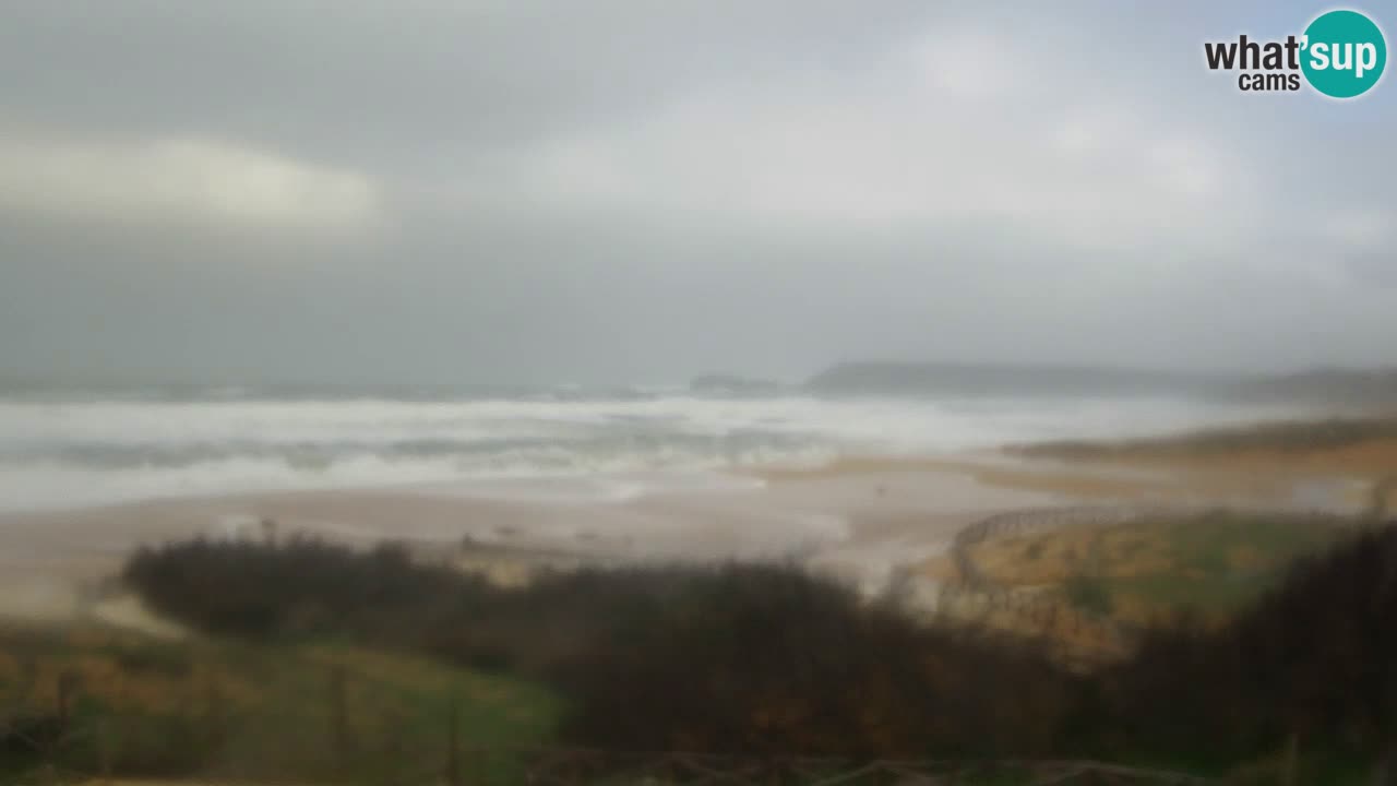 Webcam Torre dei Corsari – Live Beach View from Punta Usai