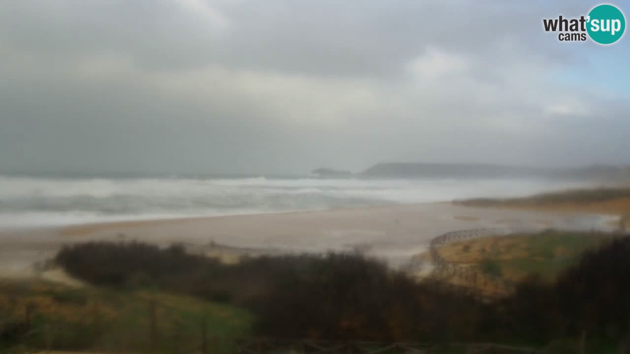 Webcam Torre dei Corsari – Live Beach View from Punta Usai