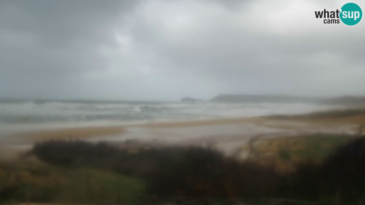Webcam Torre dei Corsari – Liveblick auf den Strand von Punta Usai