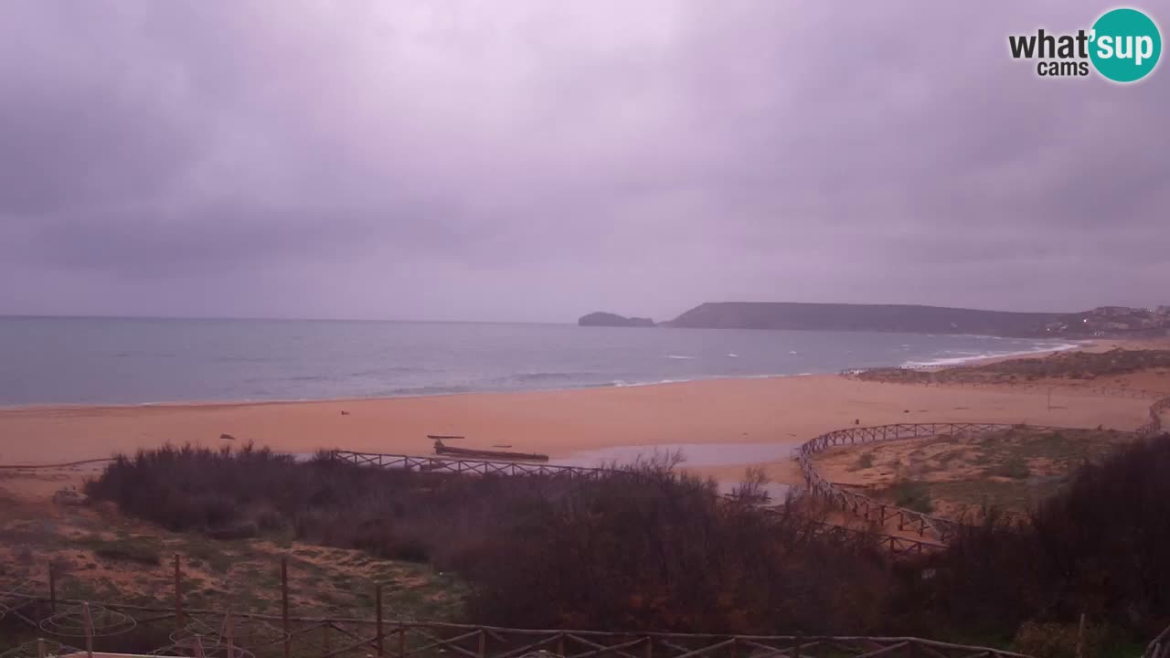 Webcam Torre dei Corsari – Live Beach View from Punta Usai