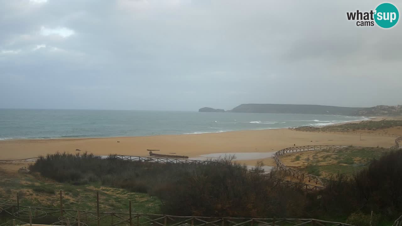 Webcam Torre dei Corsari – Live Beach View from Punta Usai