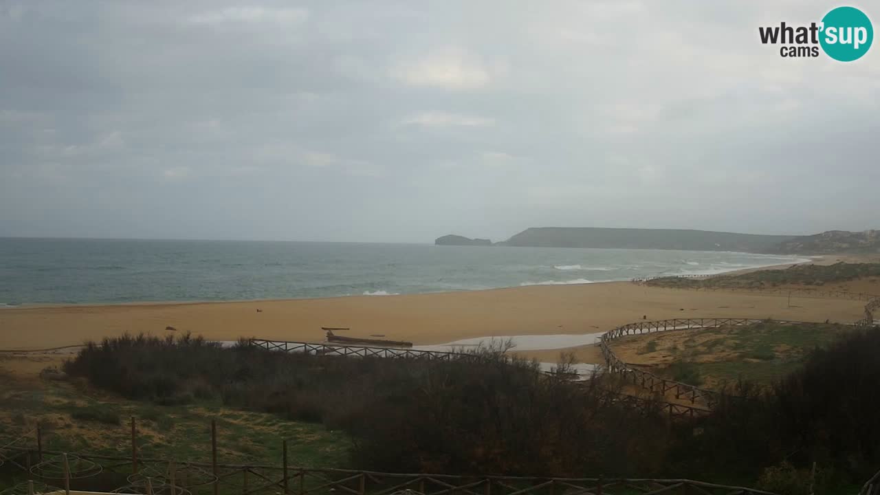 Webcam Torre dei Corsari – Vue en direct sur la plage depuis Punta Usai