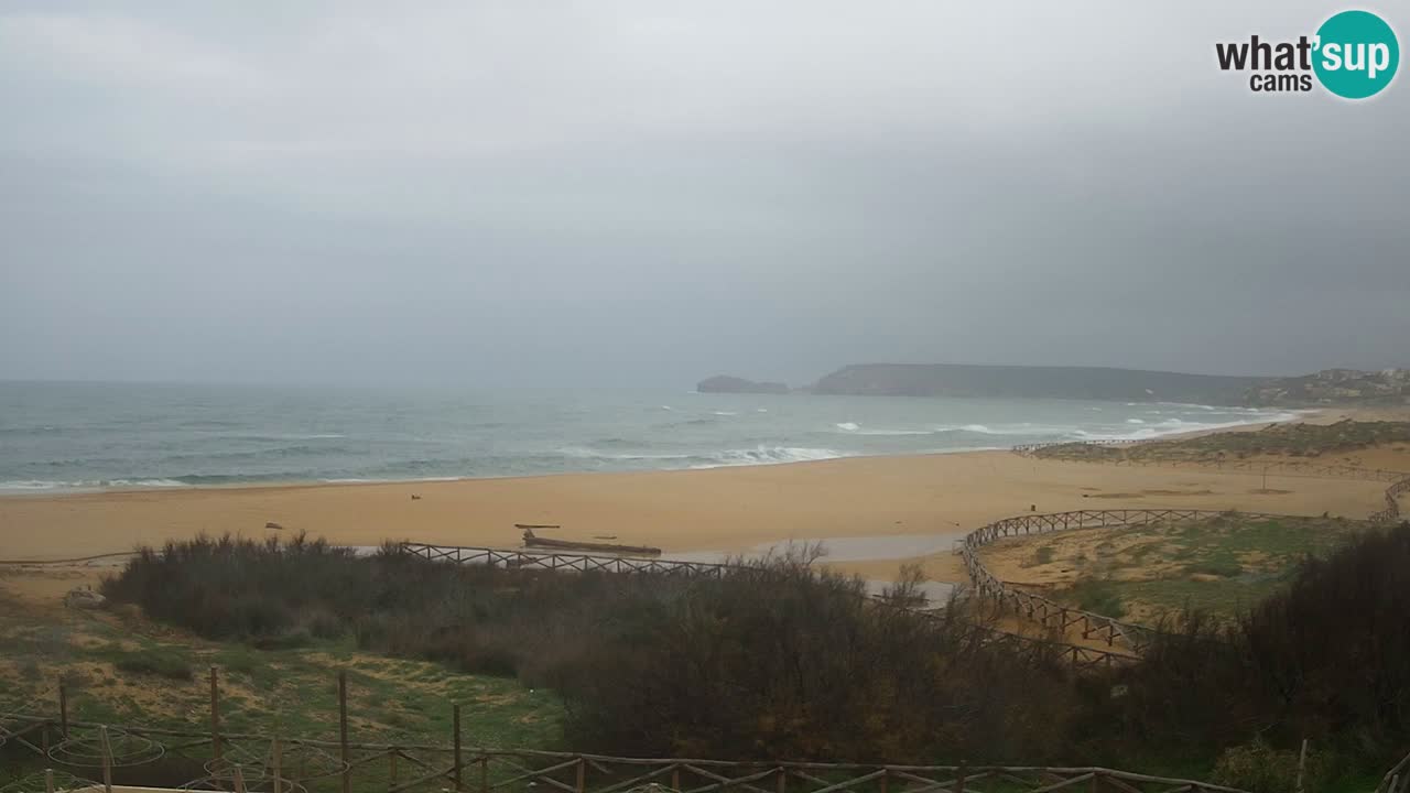 Webcam Torre dei Corsari – Live Beach View from Punta Usai