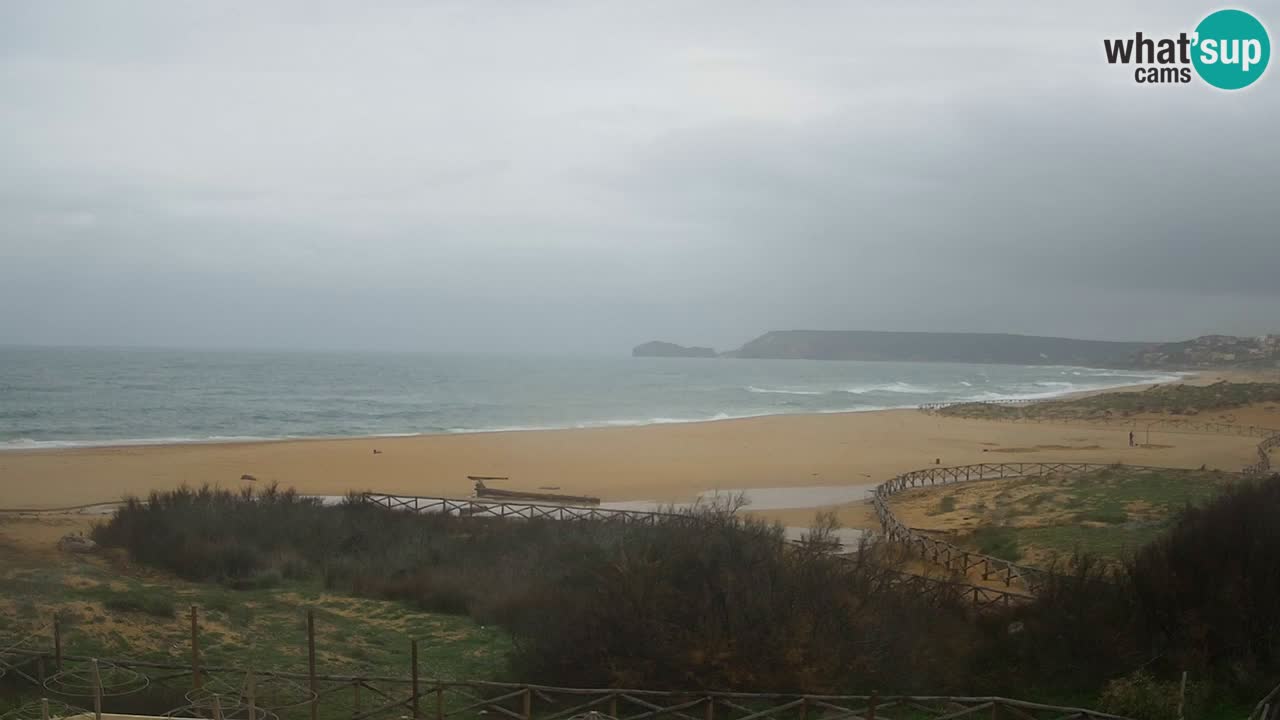 Webcam Torre dei Corsari – Live Beach View from Punta Usai