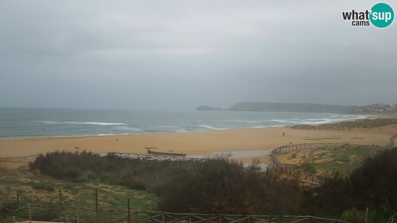 Web kamera Torre dei Corsari – Pogled uživo na plažu s Punta Usai