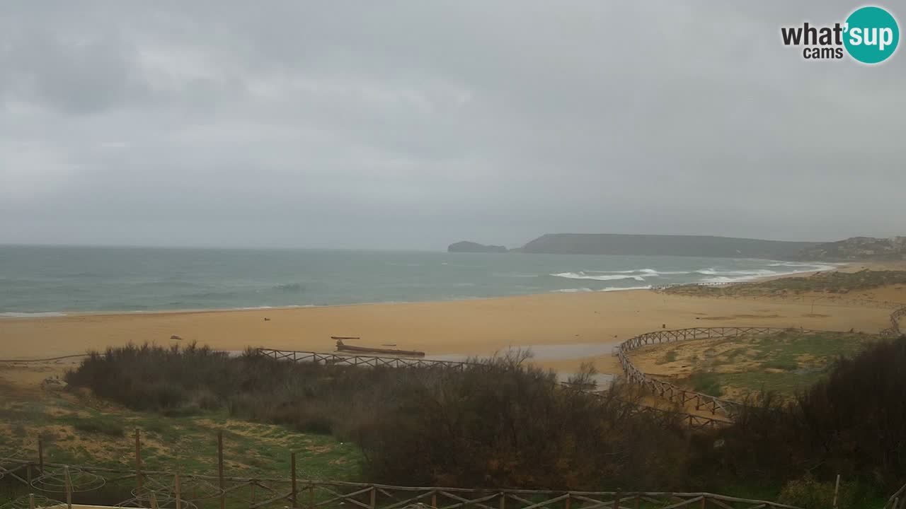 Webcam Torre dei Corsari – Live Beach View from Punta Usai
