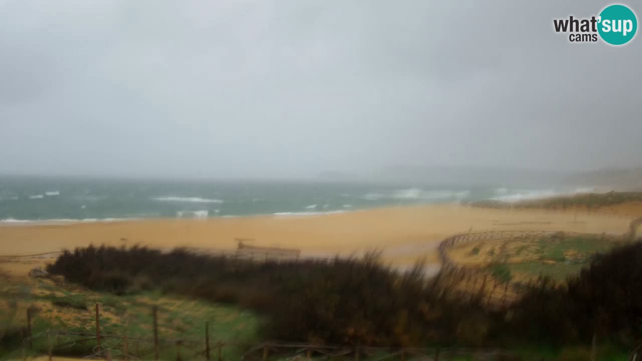 Webcam Torre dei Corsari – Live Beach View from Punta Usai