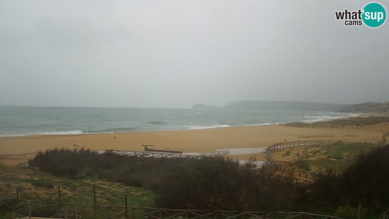Webcam Torre dei Corsari – Liveblick auf den Strand von Punta Usai