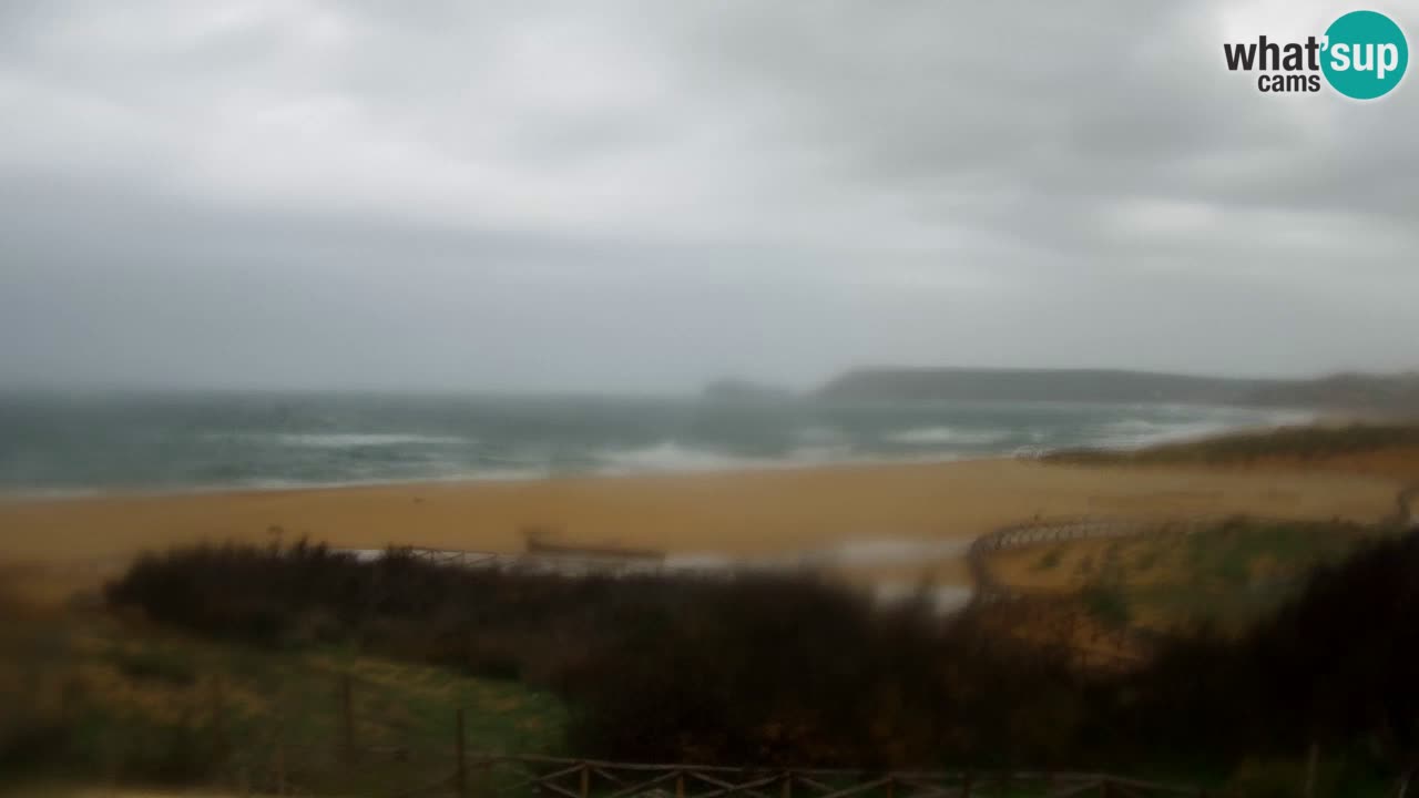 Webcam Torre dei Corsari – Live Beach View from Punta Usai