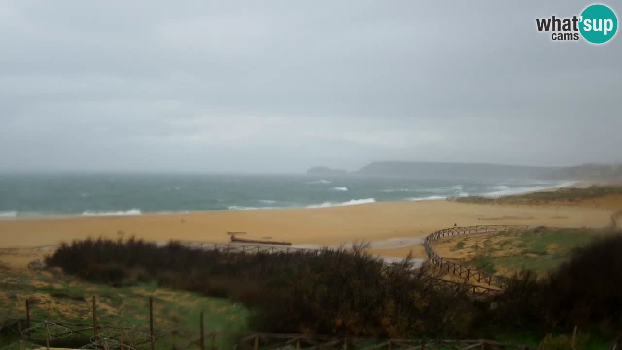 Webcam Torre dei Corsari – Liveblick auf den Strand von Punta Usai
