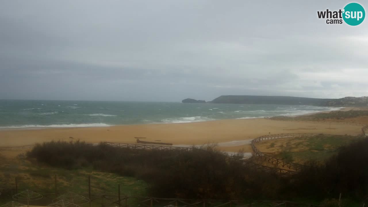 Webcam Torre dei Corsari – Live Beach View from Punta Usai