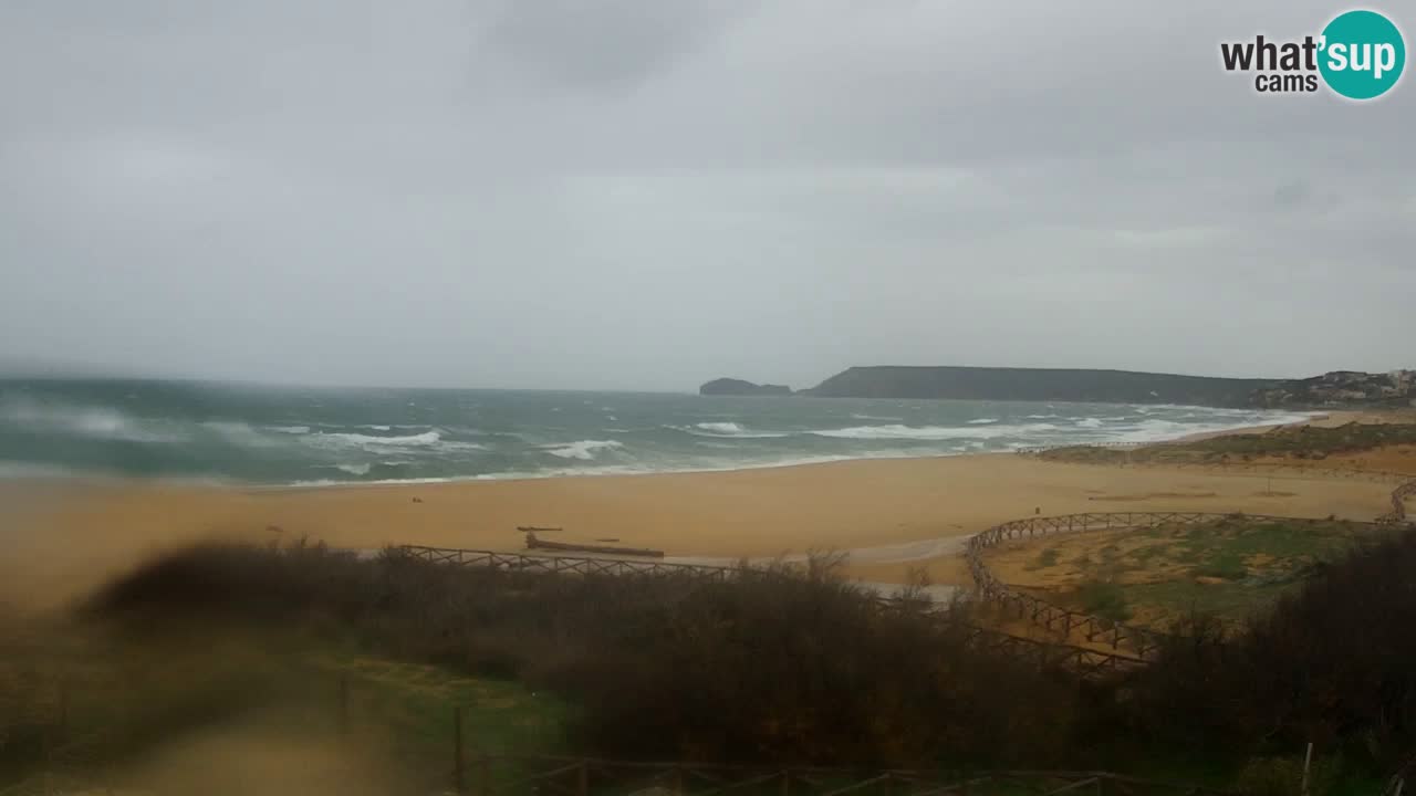 Web kamera Torre dei Corsari – Pogled uživo na plažu s Punta Usai