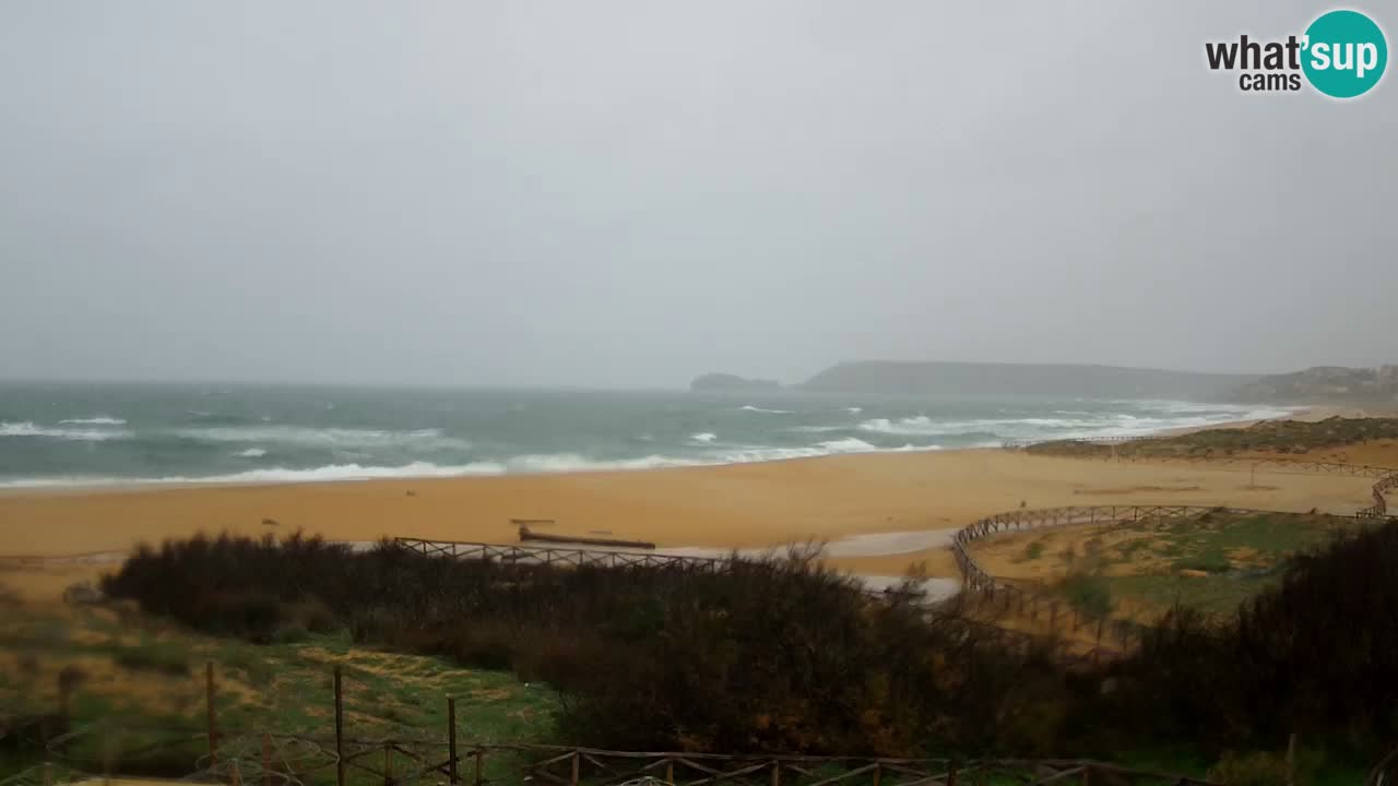 Webcam Torre dei Corsari – Live Beach View from Punta Usai