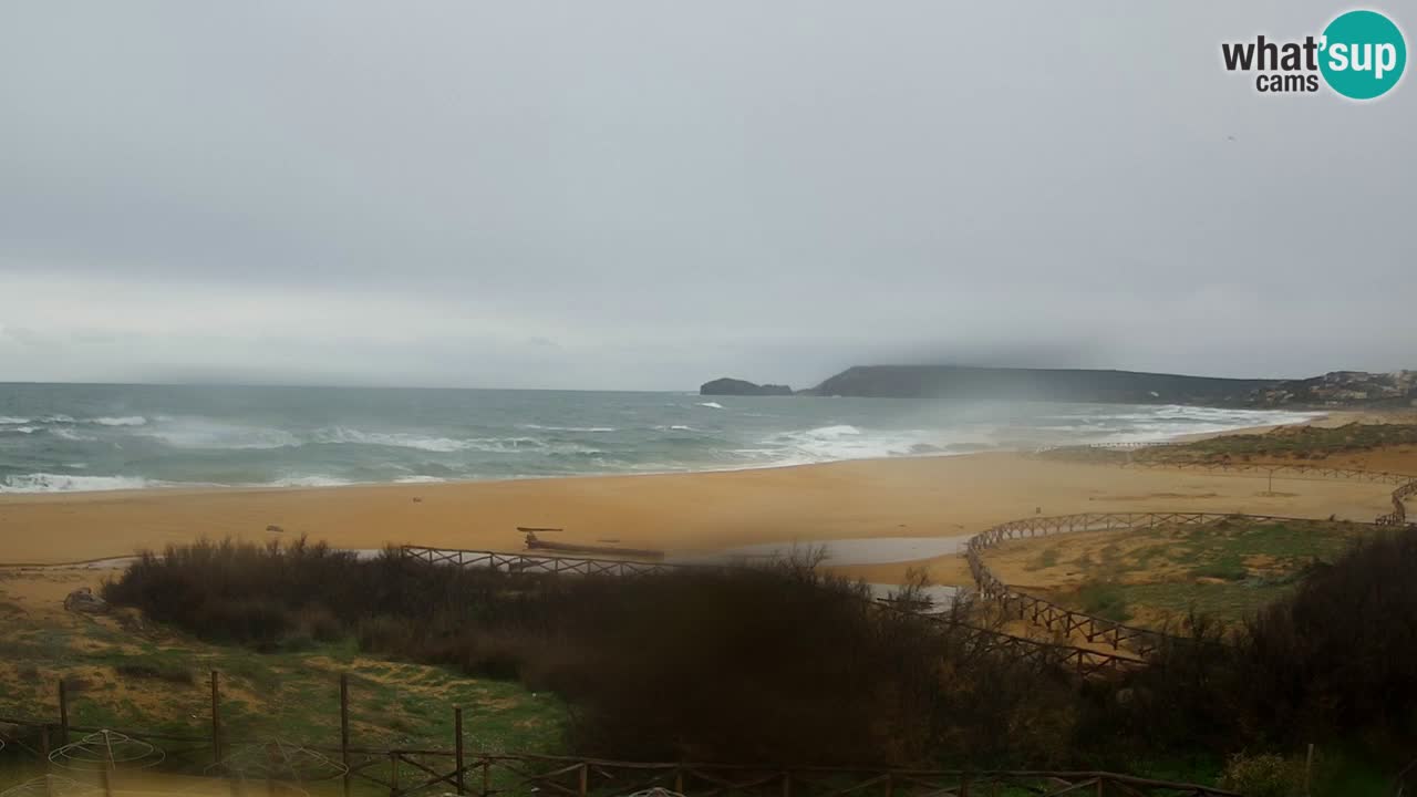 Webcam Torre dei Corsari – Live Beach View from Punta Usai