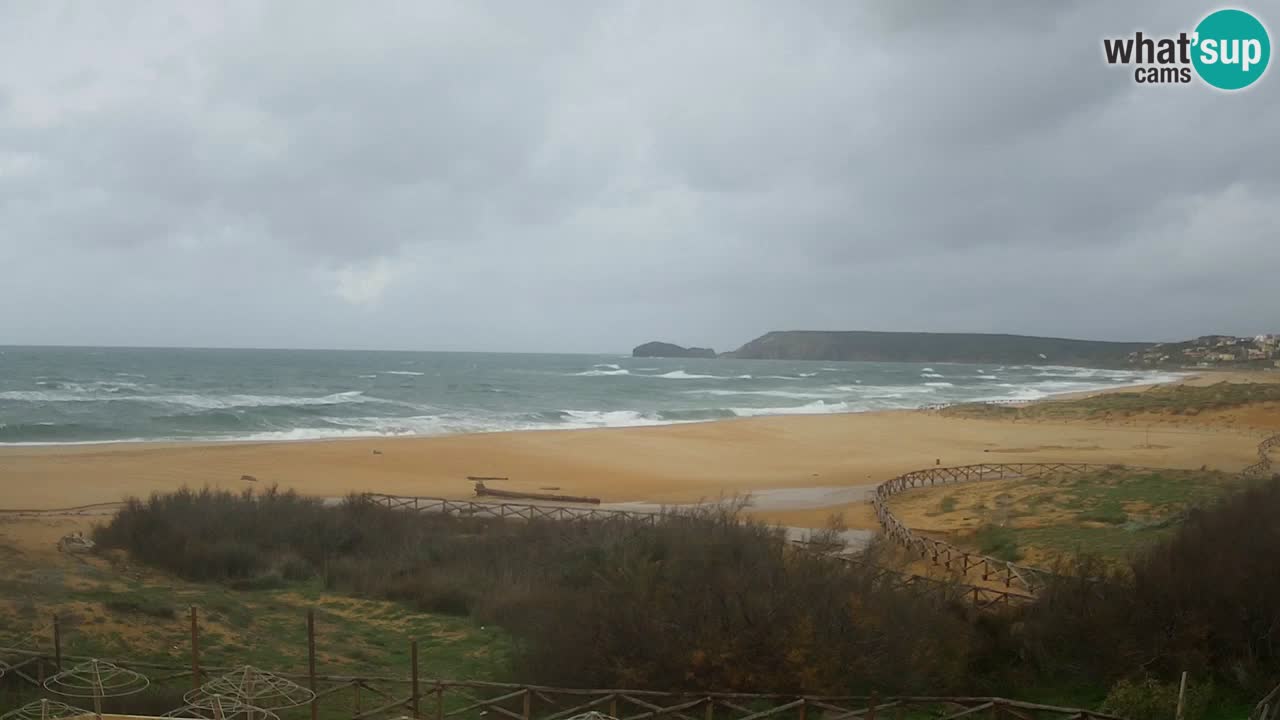 Webcam Torre dei Corsari – Live Beach View from Punta Usai