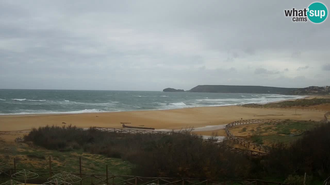 Webcam Torre dei Corsari – Live Beach View from Punta Usai