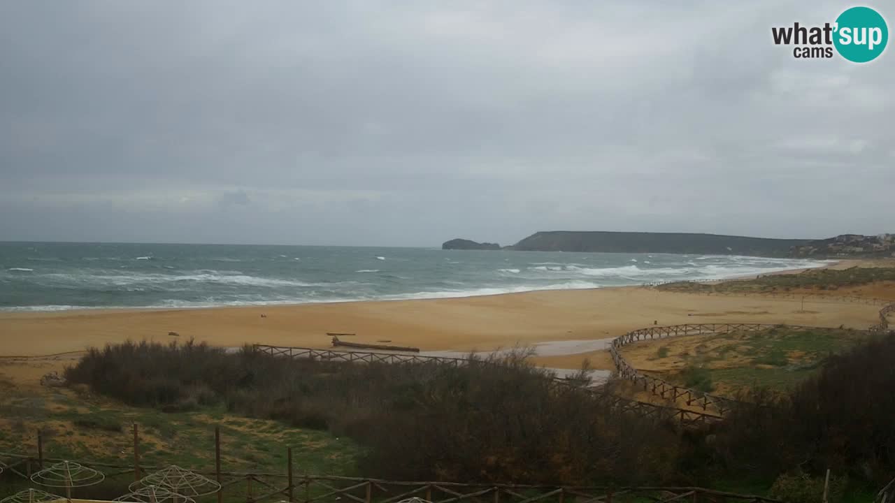 Webcam Torre dei Corsari – Live Beach View from Punta Usai