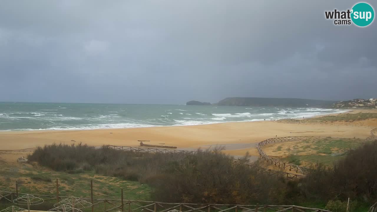 Webcam Torre dei Corsari – Live Beach View from Punta Usai