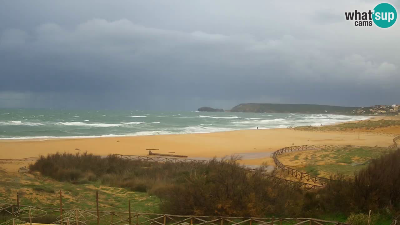 Webcam Torre dei Corsari – Live Beach View from Punta Usai