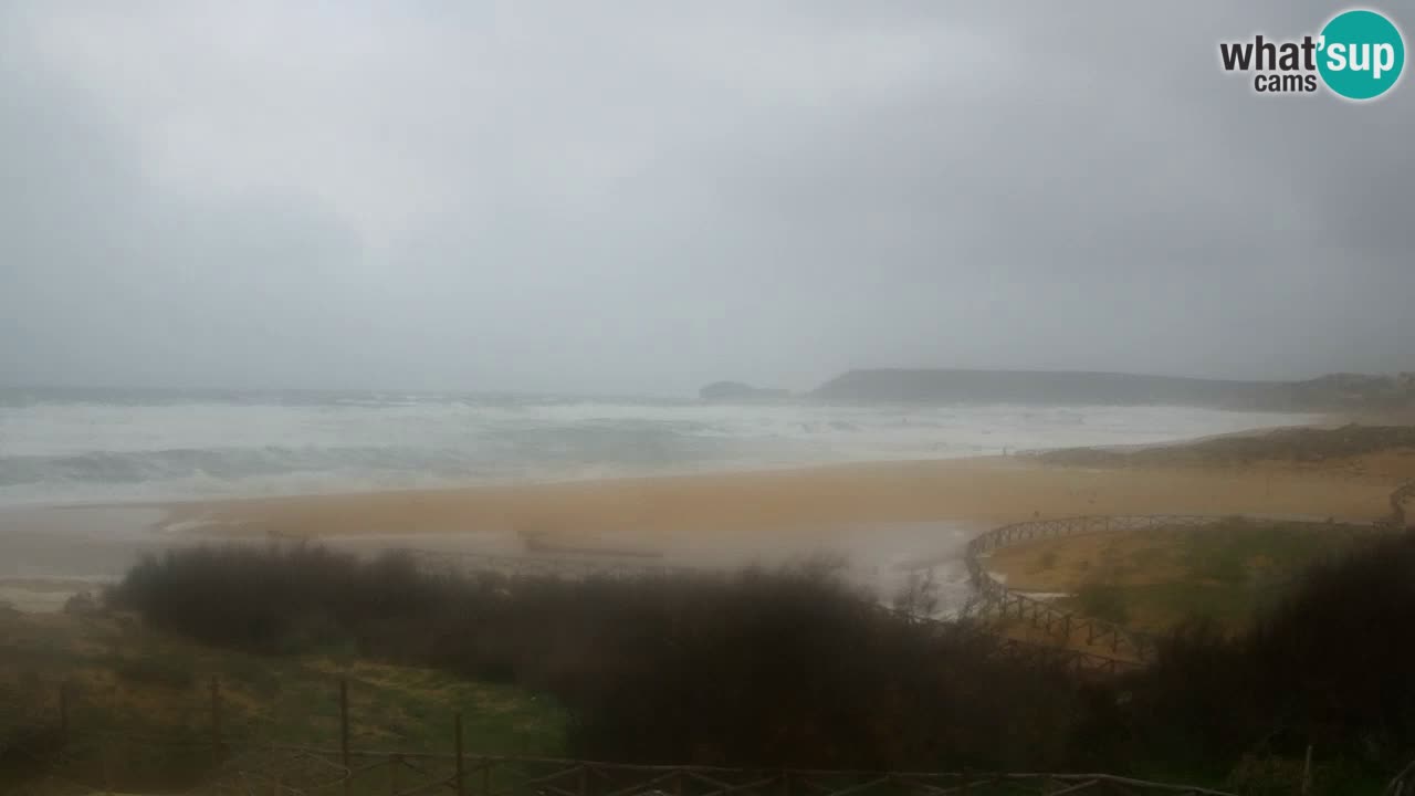 Webcam Torre dei Corsari – Live Beach View from Punta Usai