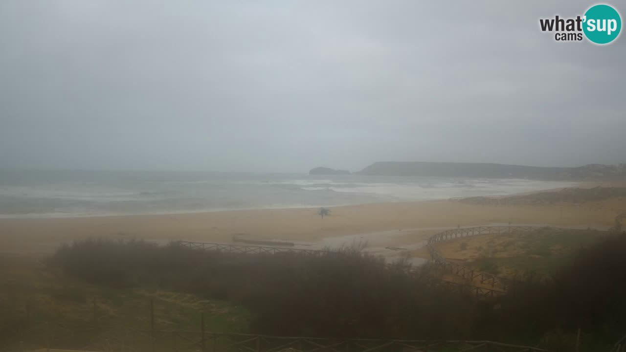 Webcam Torre dei Corsari – Live Beach View from Punta Usai