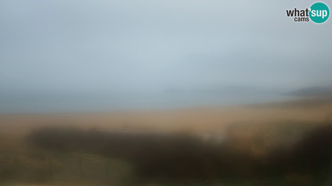 Web kamera Torre dei Corsari – Pogled uživo na plažu s Punta Usai