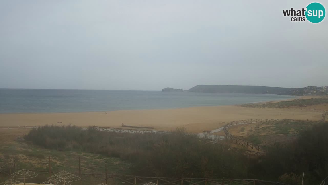 Webcam Torre dei Corsari – Live Beach View from Punta Usai