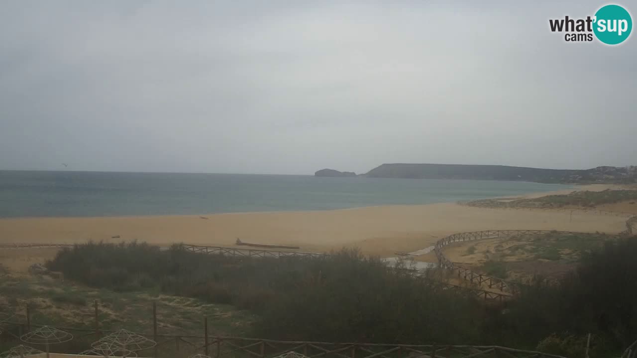 Web kamera Torre dei Corsari – Pogled uživo na plažu s Punta Usai