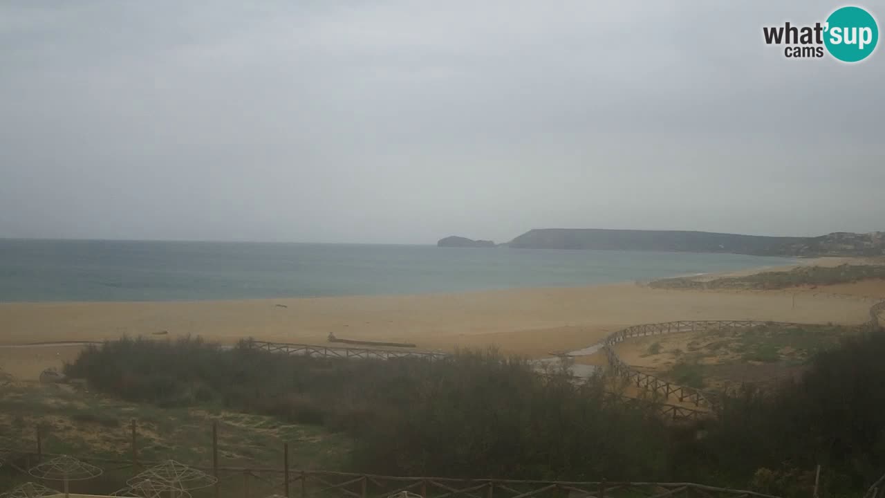 Webcam Torre dei Corsari – Live Beach View from Punta Usai