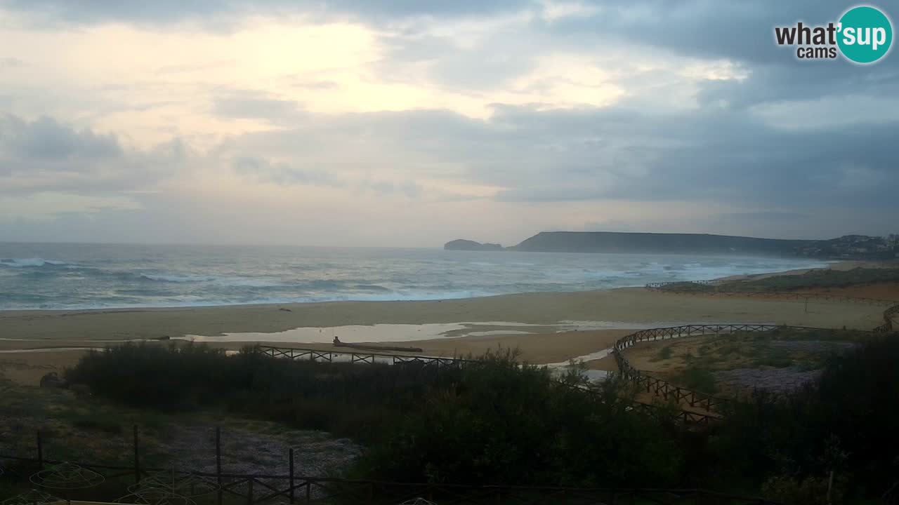 Webcam Torre dei Corsari – Vista live sulla spiaggia da Punta Usai
