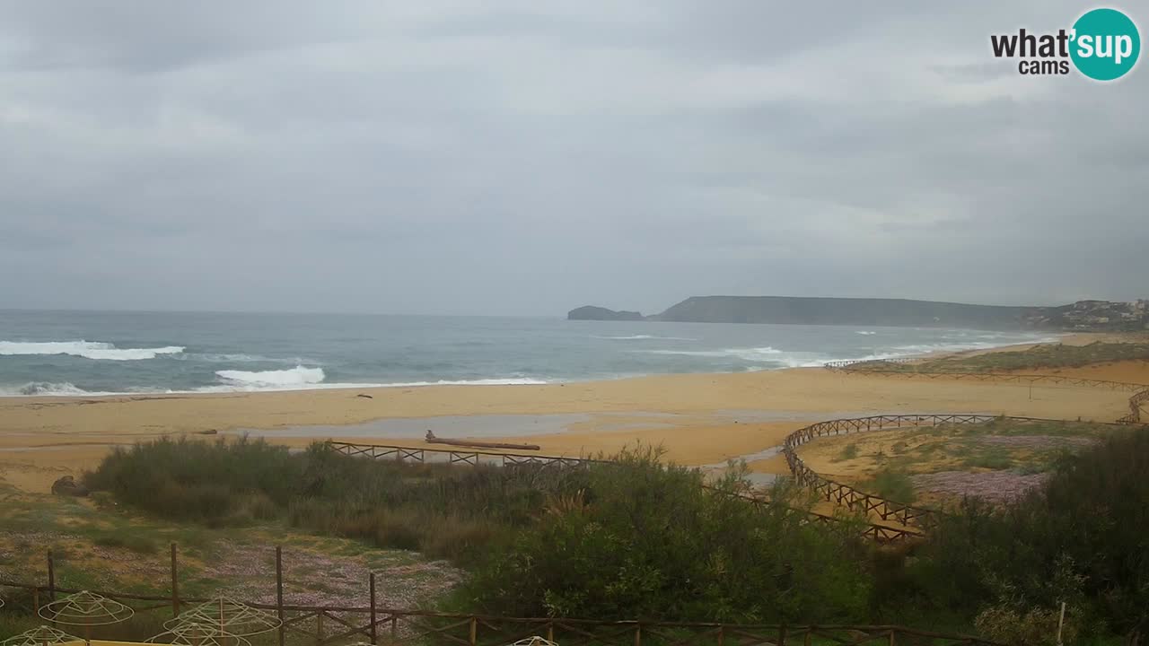 Webcam Torre dei Corsari – Vue en direct sur la plage depuis Punta Usai