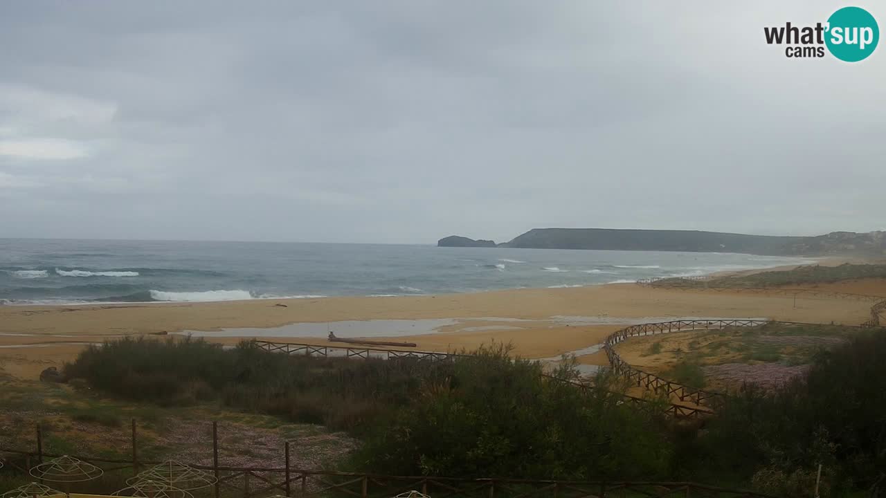 Webcam Torre dei Corsari – Liveblick auf den Strand von Punta Usai