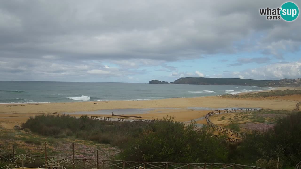 Webcam Torre dei Corsari – Live Beach View from Punta Usai