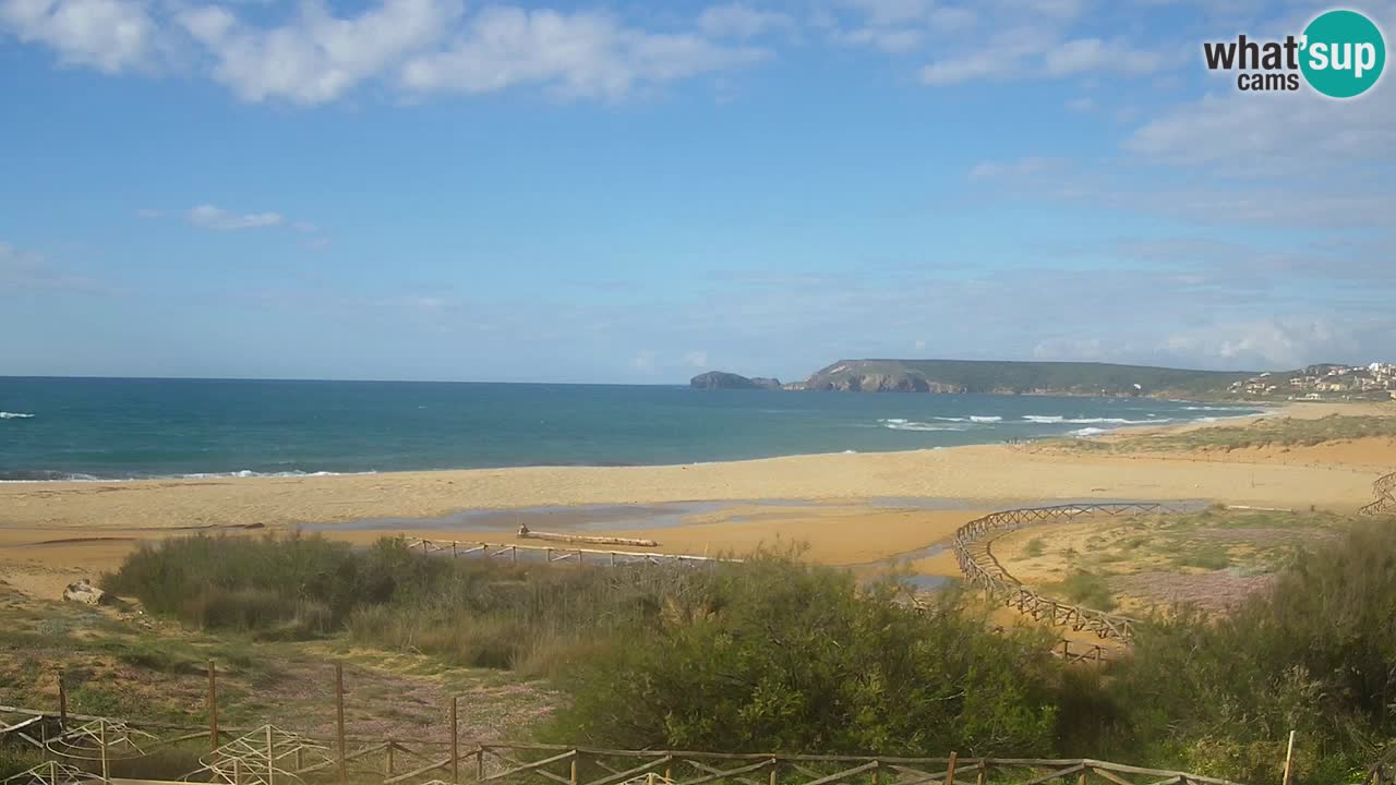 Web kamera Torre dei Corsari – Pogled uživo na plažu s Punta Usai