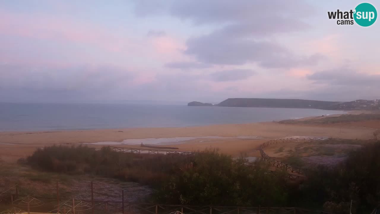 Webcam Torre dei Corsari – Live Beach View from Punta Usai