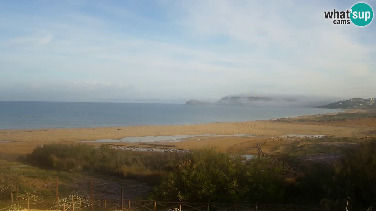 Webcam Torre dei Corsari – Live Beach View from Punta Usai