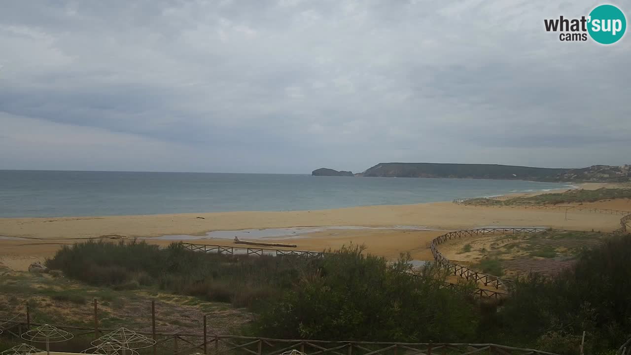 Webcam Torre dei Corsari – Live Beach View from Punta Usai