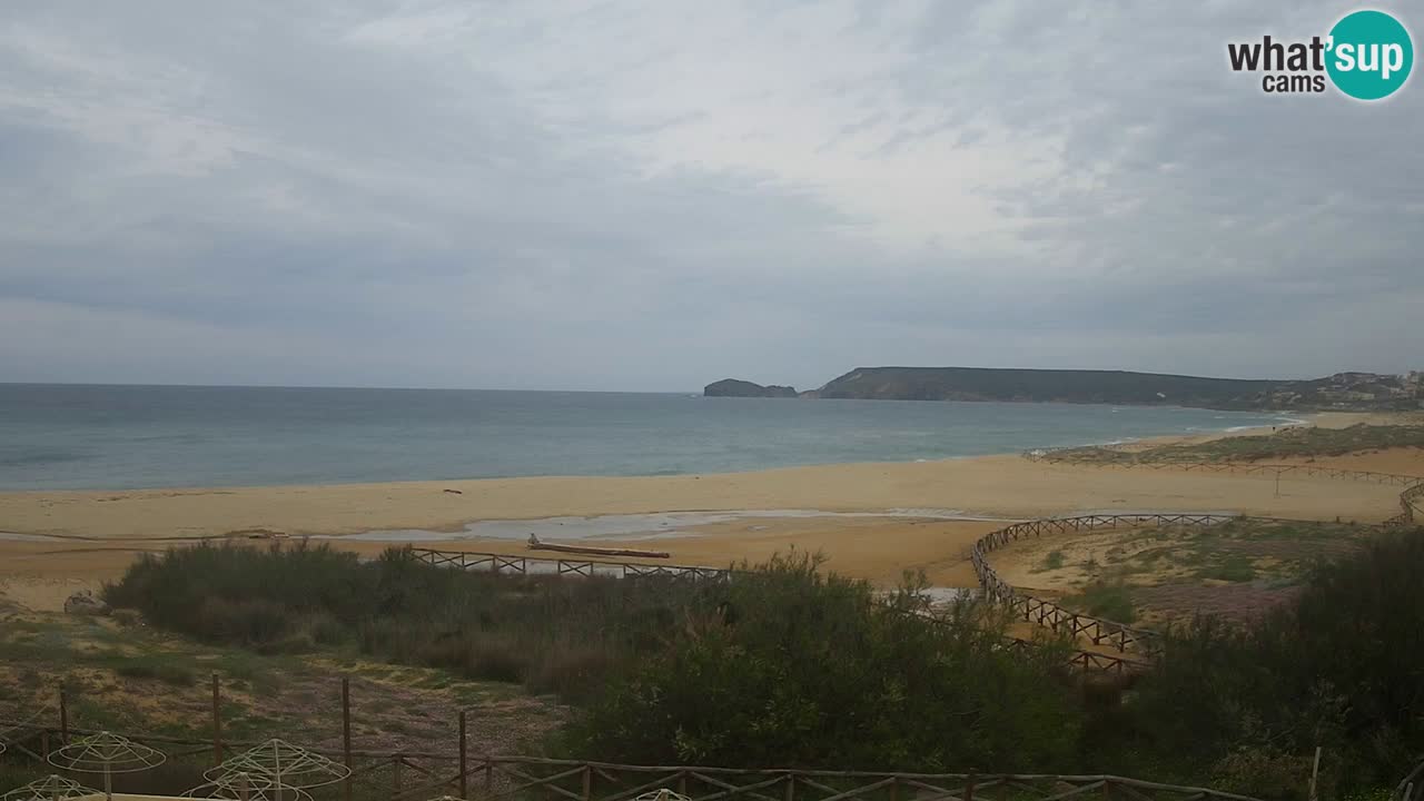 Webcam Torre dei Corsari – Live Beach View from Punta Usai