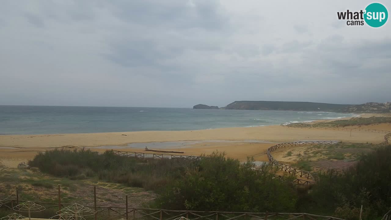 Webcam Torre dei Corsari – Live Beach View from Punta Usai