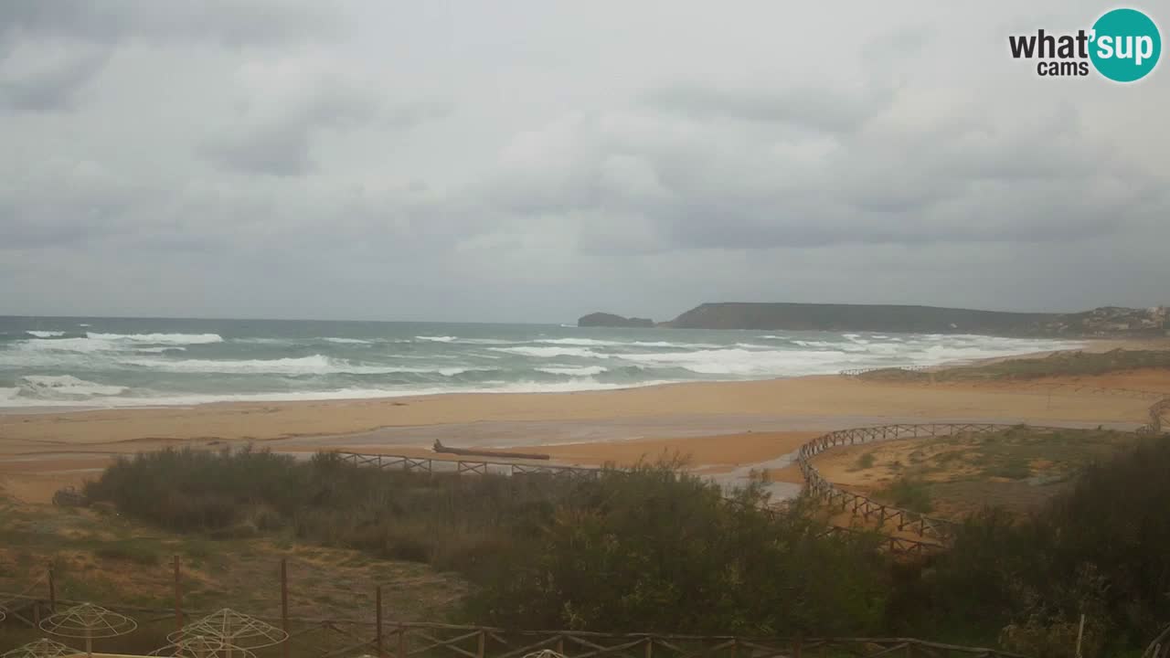 Webcam Torre dei Corsari – Live Beach View from Punta Usai