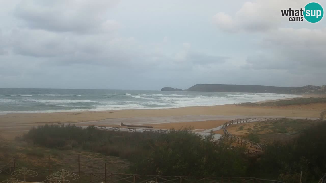 Webcam Torre dei Corsari – Live Beach View from Punta Usai