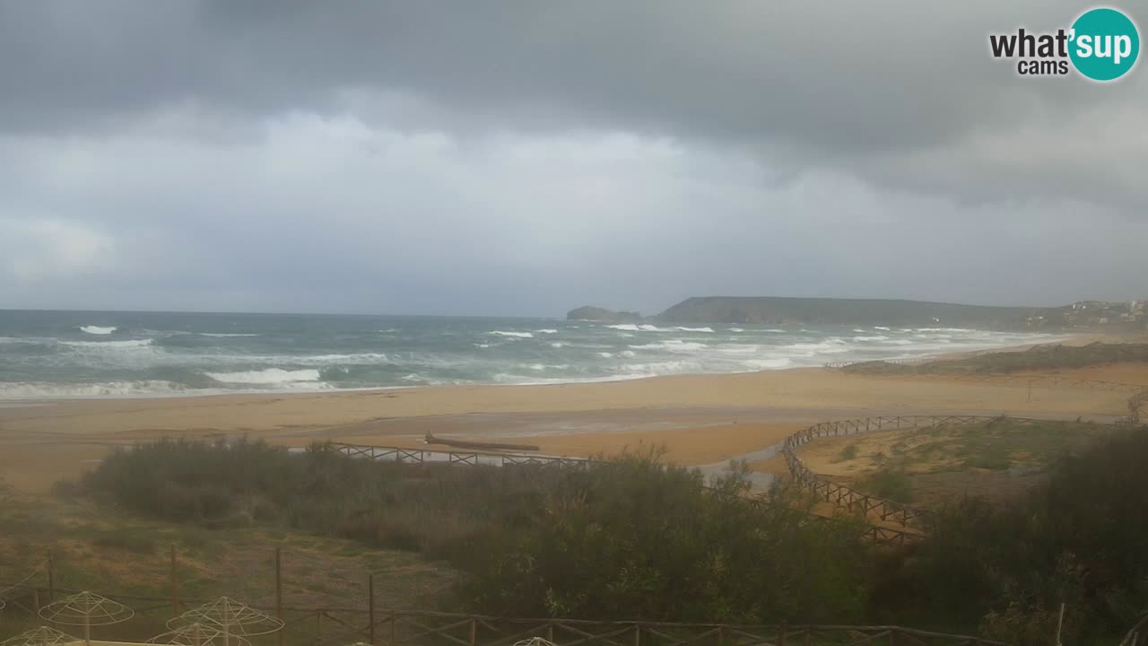 Webcam Torre dei Corsari – Live Beach View from Punta Usai