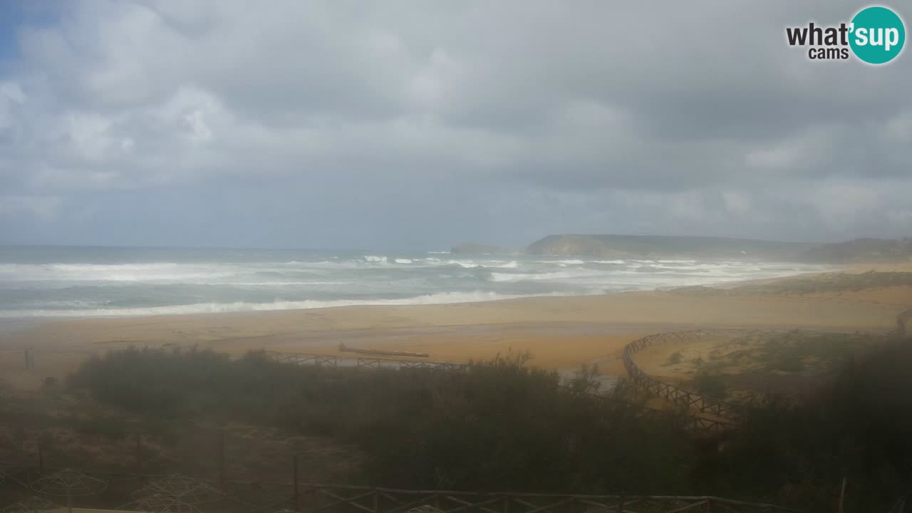Webcam Torre dei Corsari – Live Beach View from Punta Usai