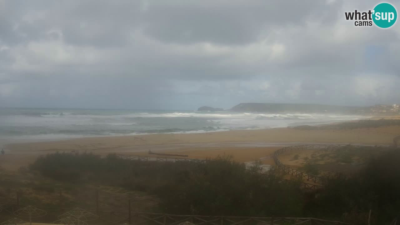 Webcam Torre dei Corsari – Live Beach View from Punta Usai