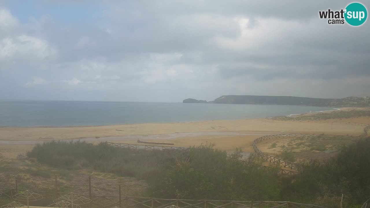 Webcam Torre dei Corsari – Live Beach View from Punta Usai