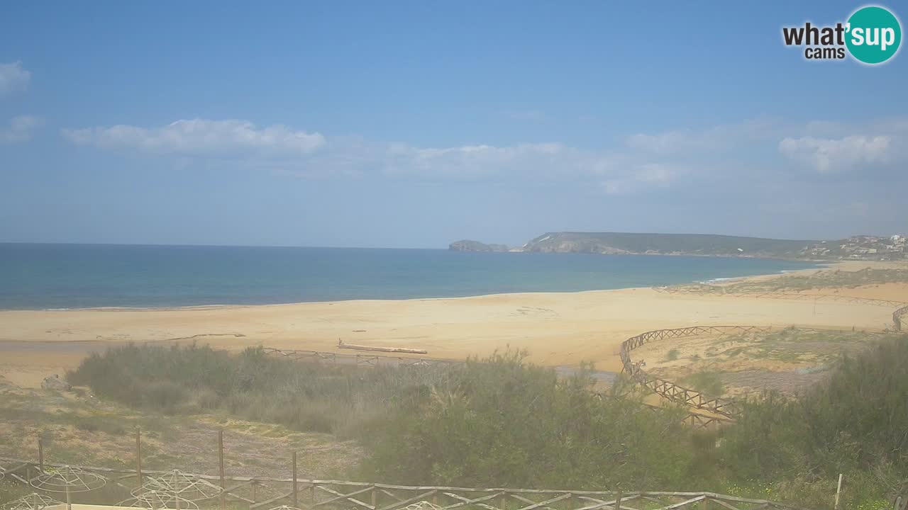 Webcam Torre dei Corsari – Live Beach View from Punta Usai