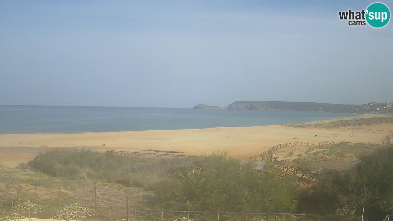 Webcam Torre dei Corsari – Live Beach View from Punta Usai