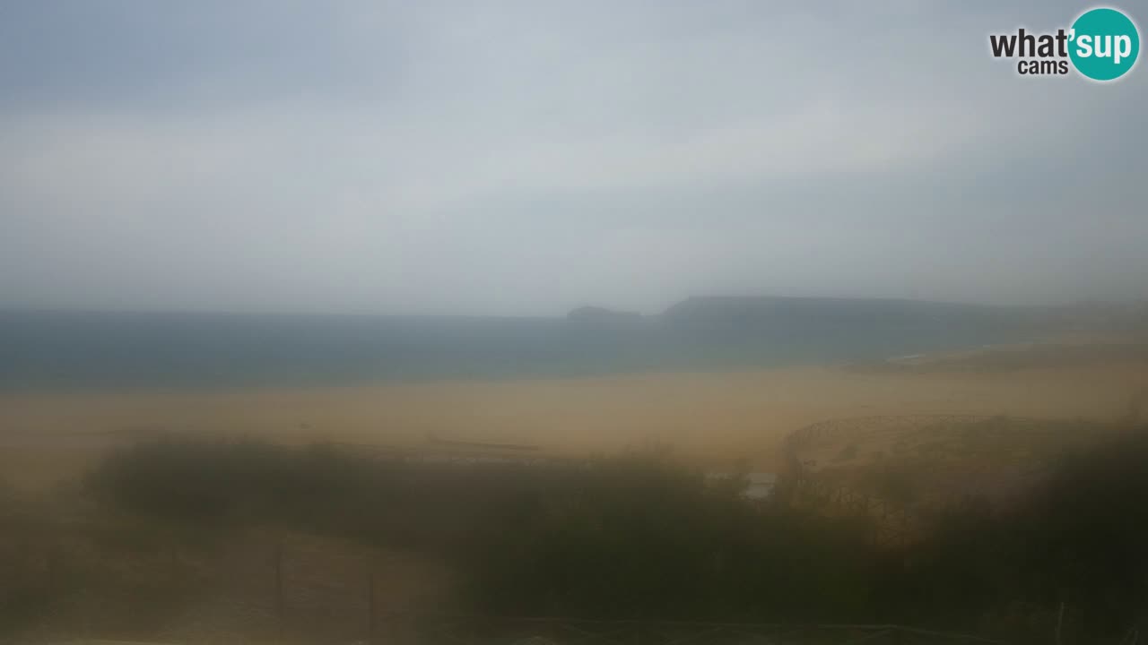 Webcam Torre dei Corsari – Vue en direct sur la plage depuis Punta Usai